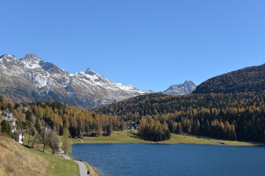 lake, mountains, nature, trees, woods, foliage, mountain range, alps, alpine, water, scenery, countryside, saint moritz, switzerland, saint moritz, saint moritz, saint moritz, saint moritz, saint moritz
